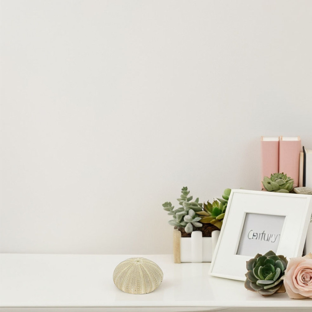 Art Craft Vase - เปลือกหอยเม่น 18 ชิ้น สำหรับตกแต่งแจกัน วัสดุตกแต่งบ้านจากธรรมชาติ สำหรับงานฝีมือ