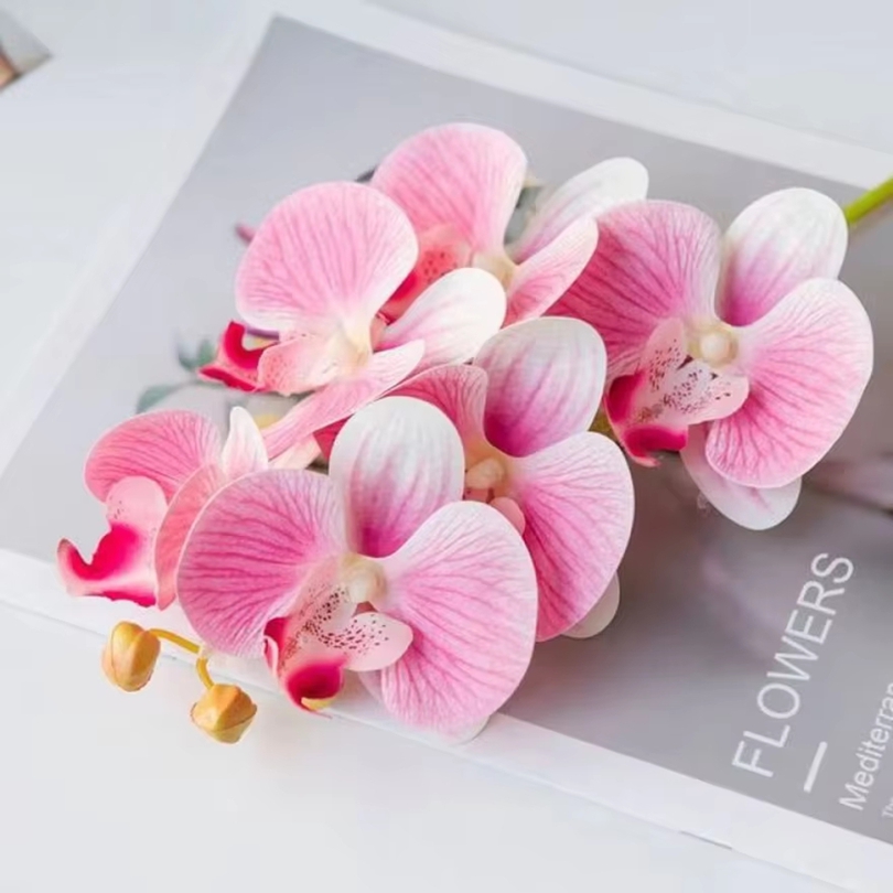 3D ประดิษฐ์ดอกไม้พลาสติก Butte - Art Craft Vase บทวิจารณ์และราคา