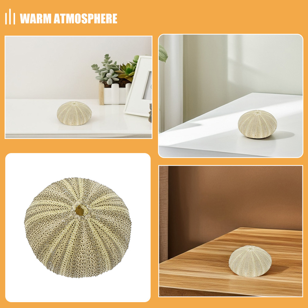 เปลือกหอยเม่น 18 ชิ้น สำหรับตก - Art Craft Vase บทวิจารณ์และราคา