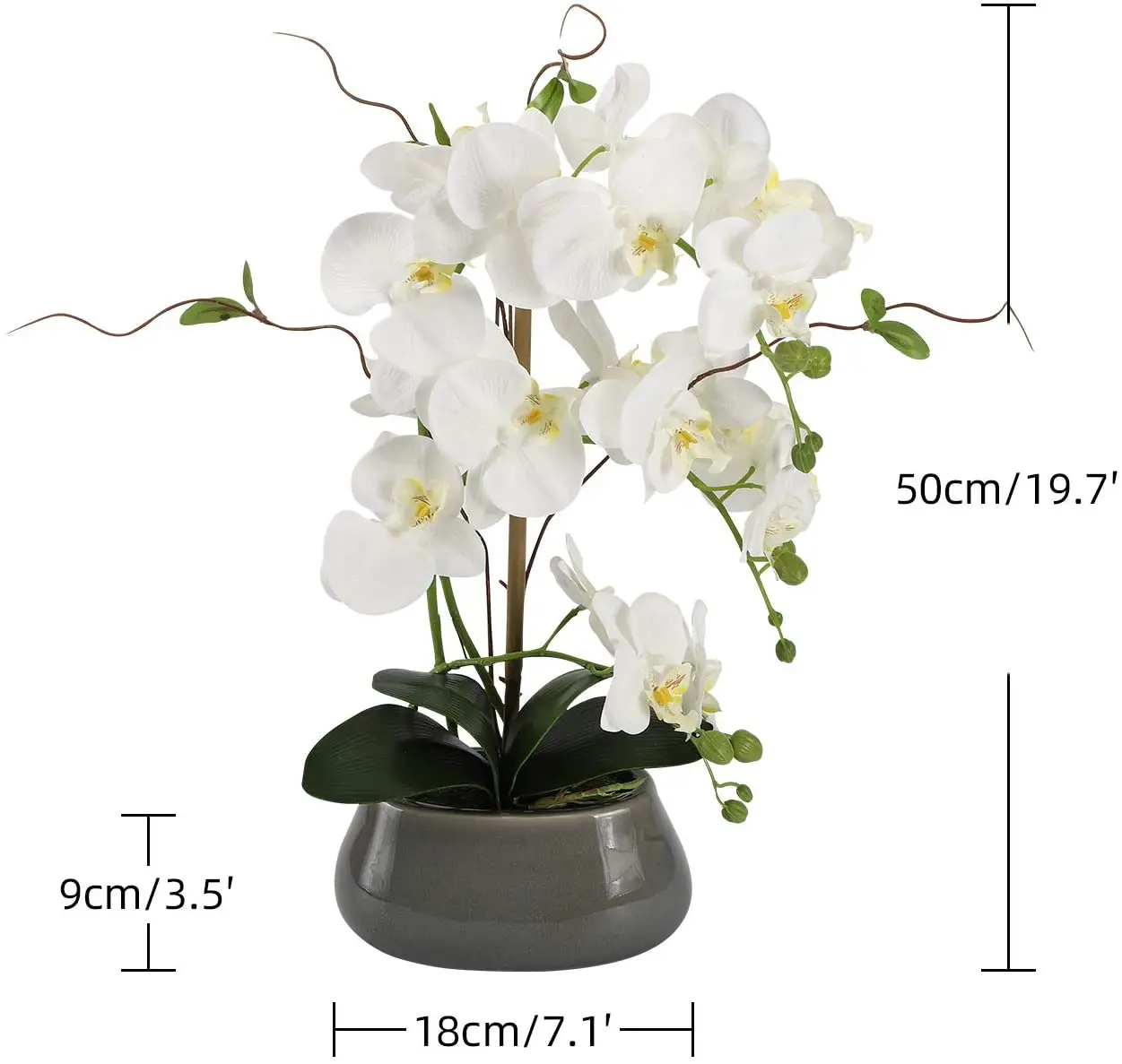 แกนกลางดอกไม้กล้วยไม้เทียมสำหร - Art Craft Vase บทวิจารณ์และราคา